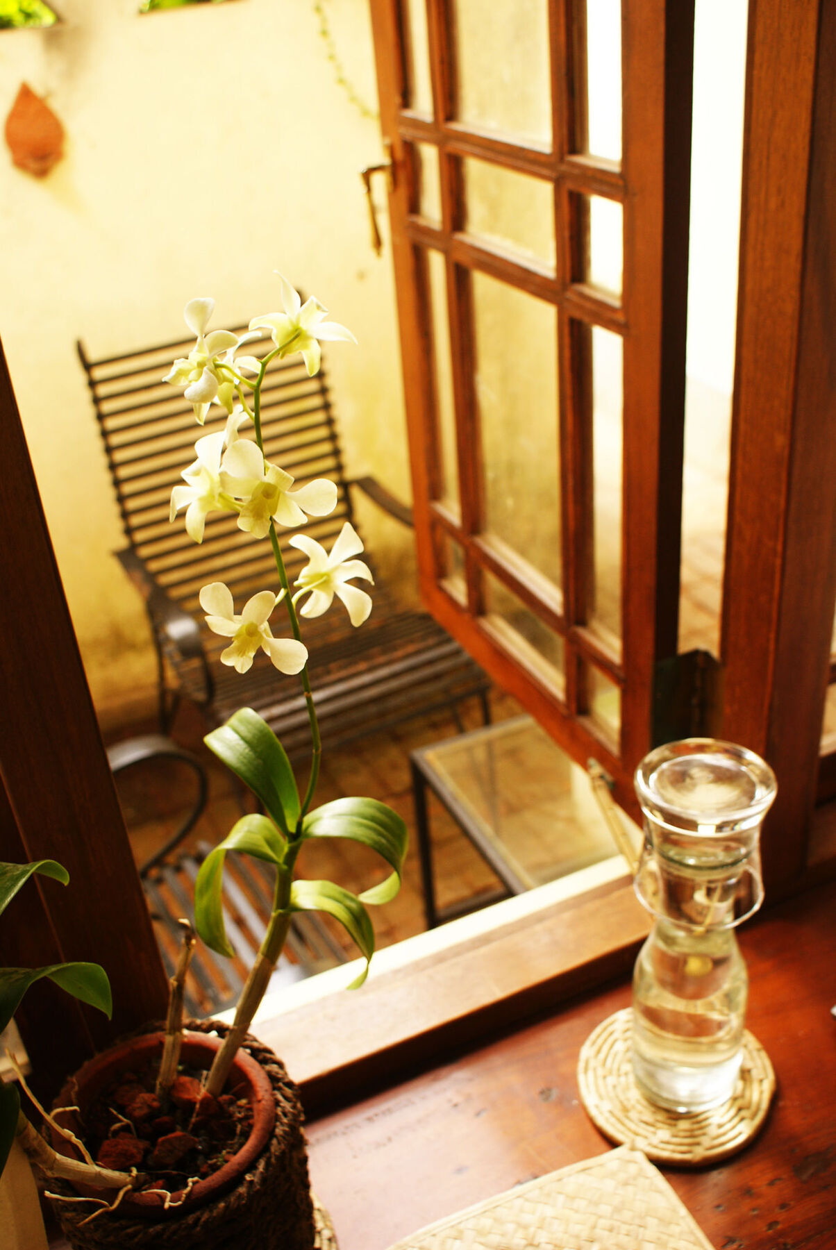 The Havelock Place Bungalow Коломбо Екстер'єр фото